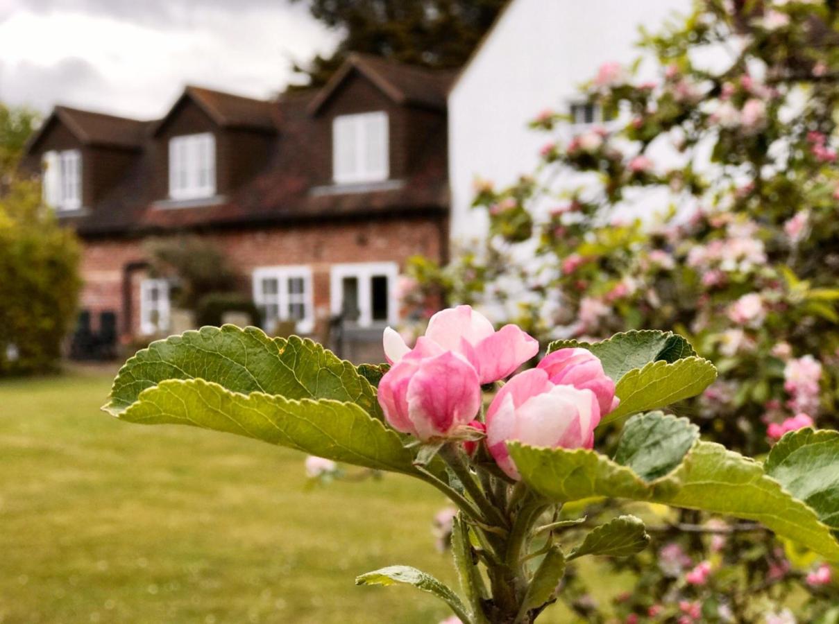 Hanger Down House Bed And Breakfast Arundel Extérieur photo